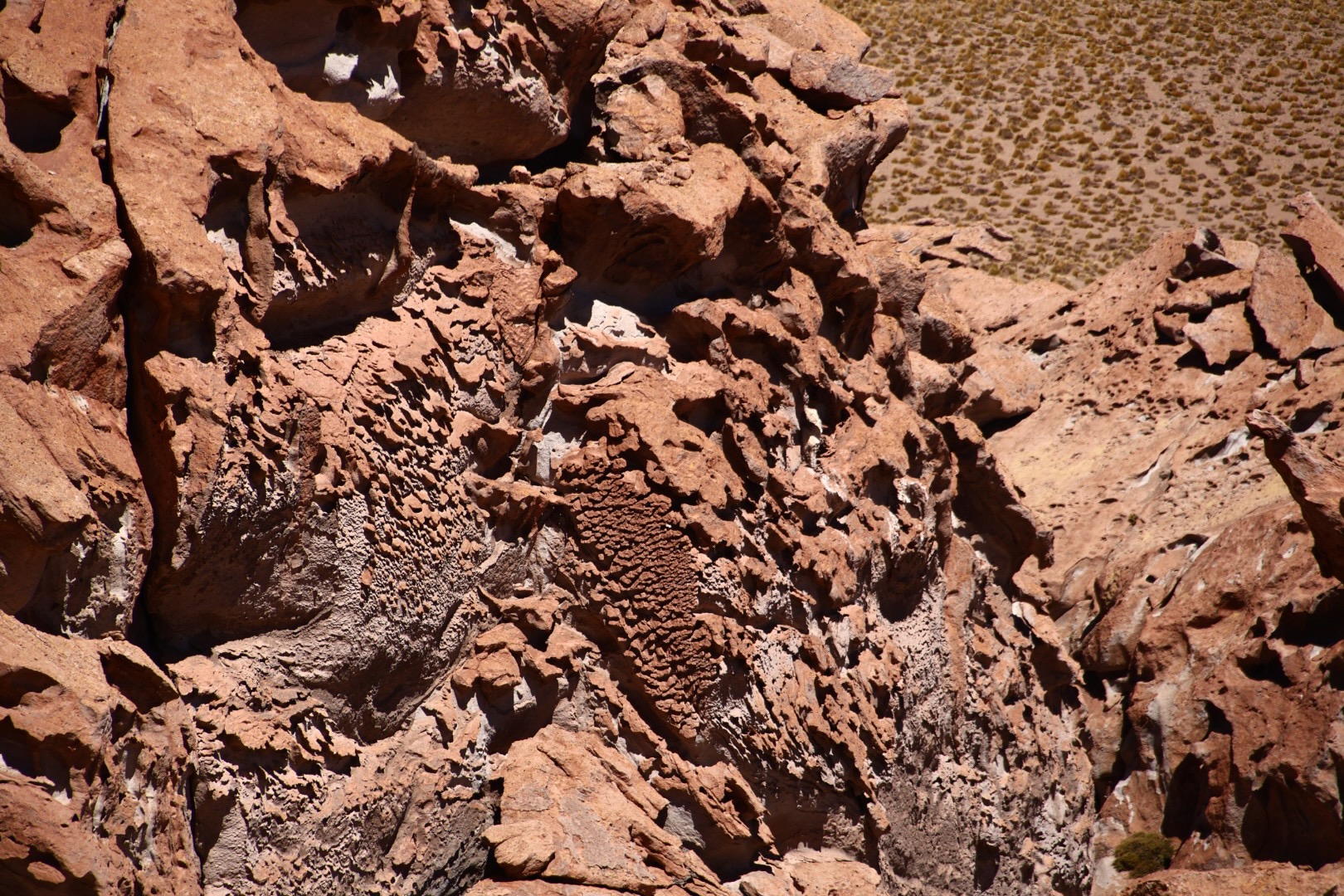 Puna Landscapes - Geometries and Cartographies